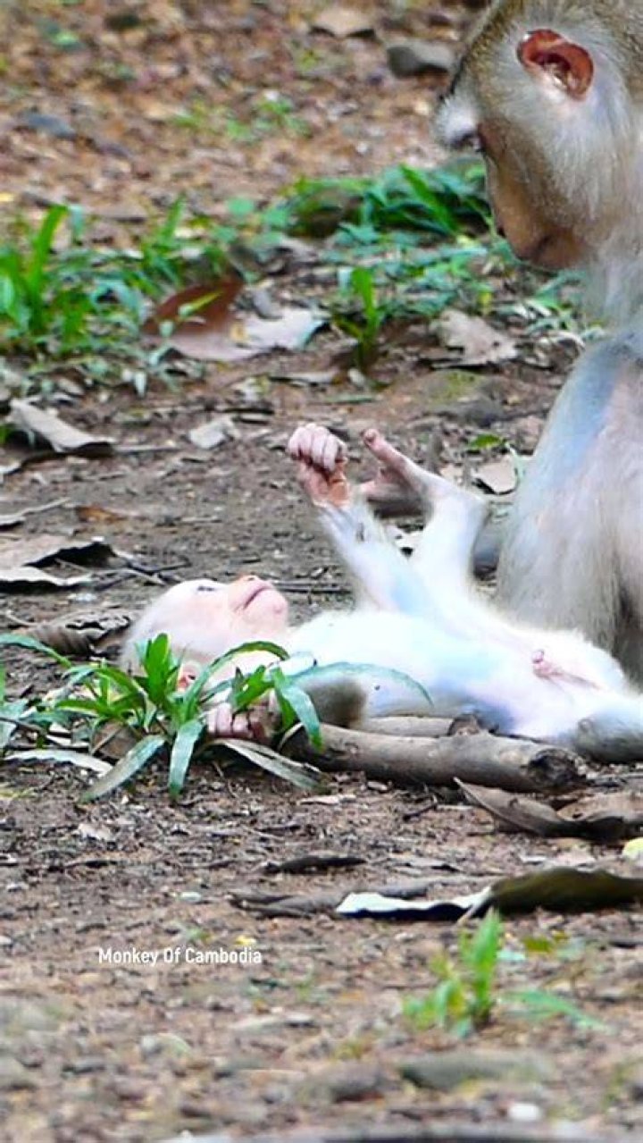 Heartbreaking moment mother runs to 4monthold son who died after