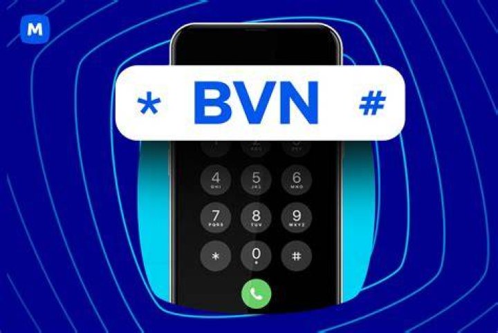 How To Check BVN on MTN, Glo, 9Mobile, And Airtel LoanSpot