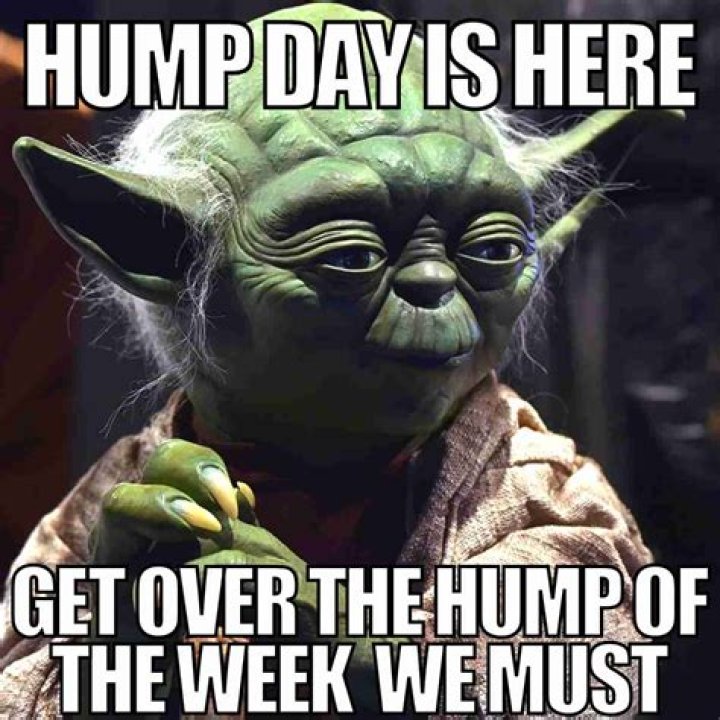 Hump Day pics