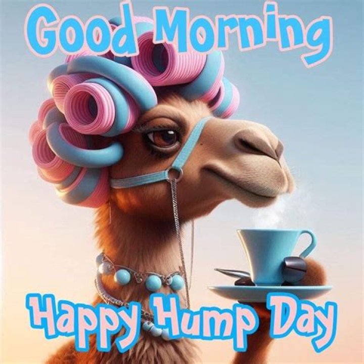 Hump Day Pictures, Photos, and Images for Facebook, Tumblr, Pinterest