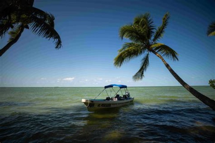 I really apreciate _______ on vacation Brainly.in
