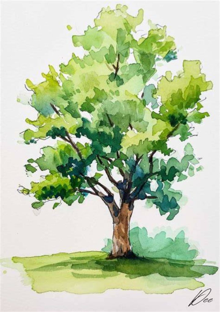 Image result for watercolor tree tattoo Tree tattoo color, Tree