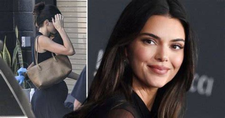 Is Kendall Jenner Pregnant Big Belly Instagram Pic