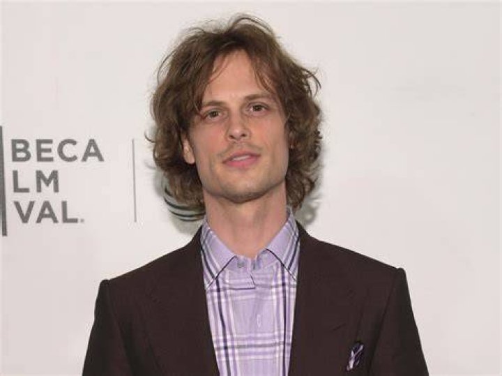 Is Matthew Gray Gubler Single?