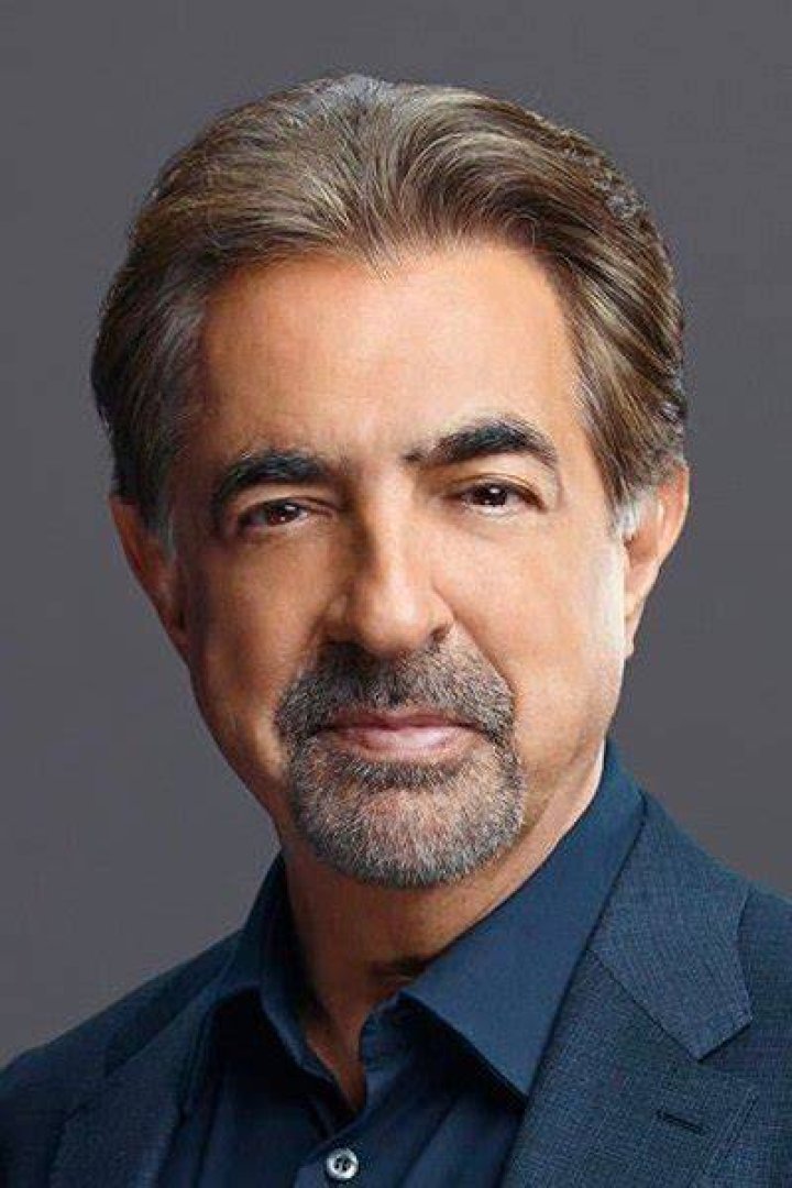 Joe Mantegna Profile Images &mdash; The Movie Database (TMDb)