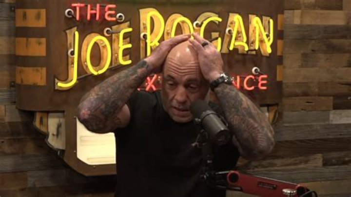 Joe Rogan plays the Dead or Alive fighting game series and apparently