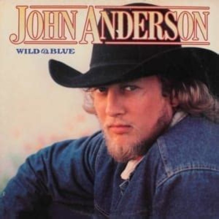 John Anderson Wild & Blue (1982, Vinyl) Discogs