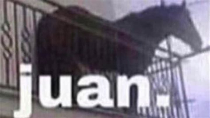 Juan / Horse On Balcony Know Your Meme
