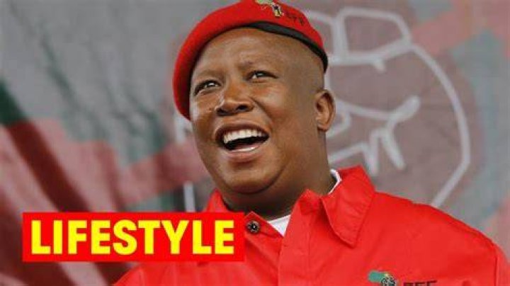 Julius Malema Biography Net Worth, Salary, Wife, Age, Videos, House