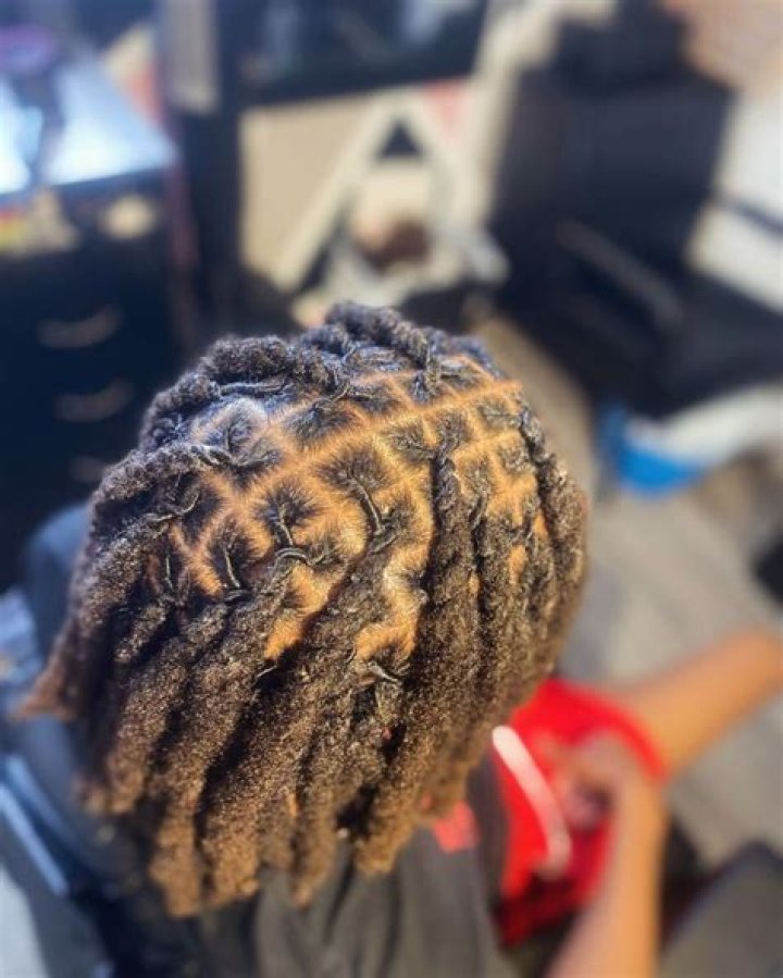 locs locstyles naturalhair locjourney Two Strand Twist, Loc Styles
