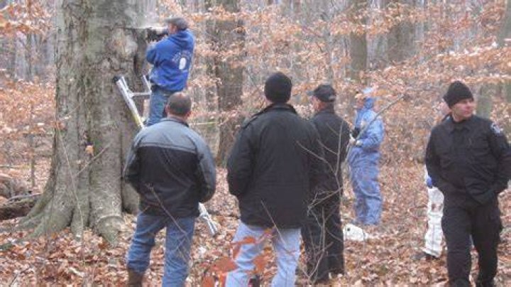matthew hoffman murderer tree
