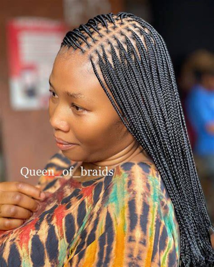 Micro Braids Hairstyles How to Style, Pictures, Video Tutorial, Care
