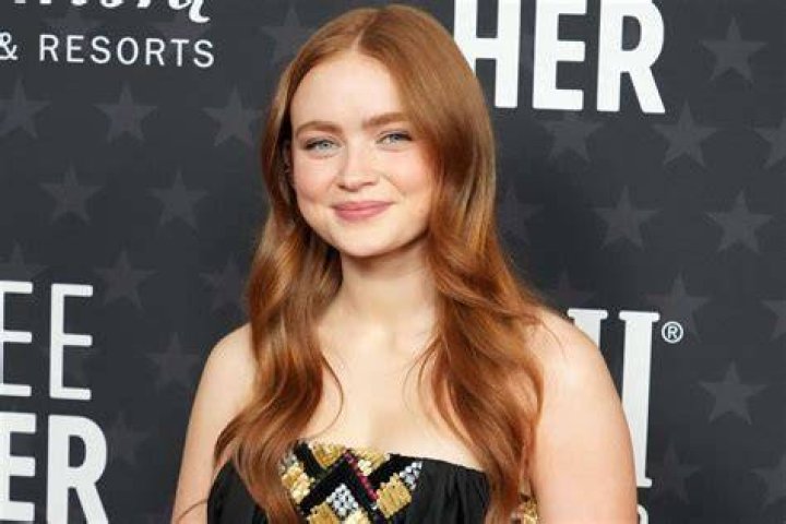 Mit wem ist Sadie Sink zusammen? Fans sind fassungslos, als sie
