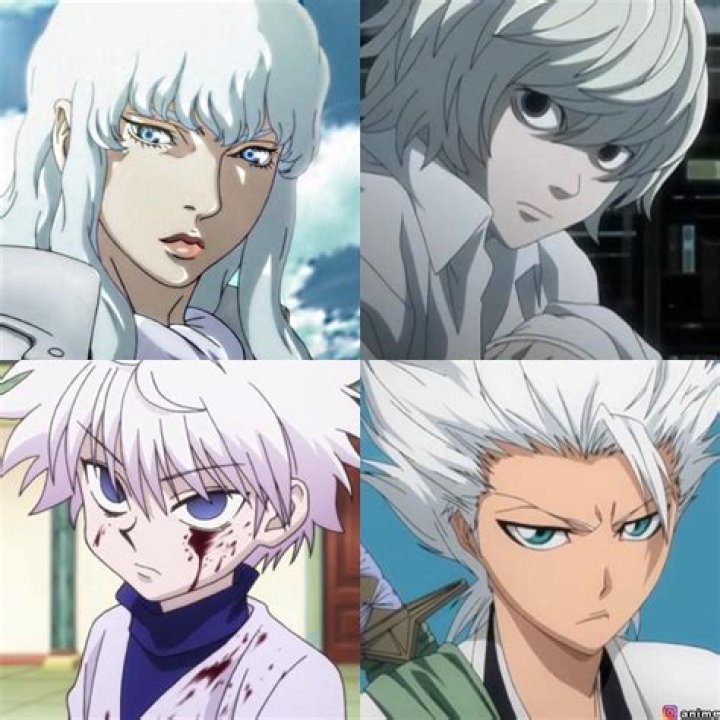 My top 5 whitehaired male characters ) Anime Amino