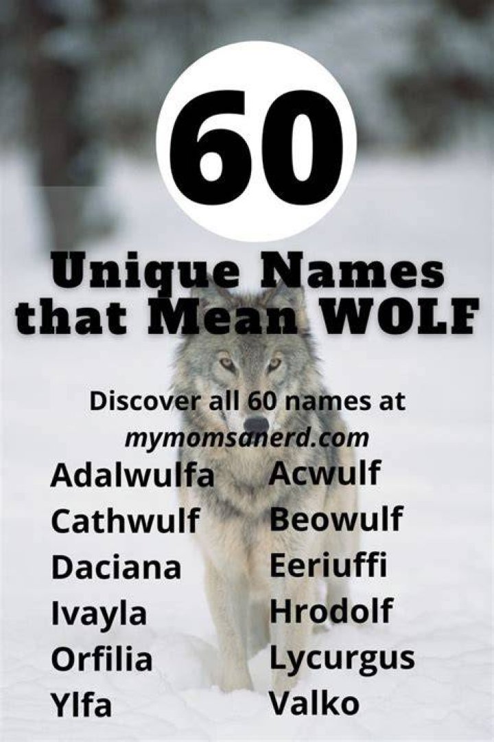 Names That Mean Wolf 60 Great Ideas For Boys and Girls &bull; My Mom's a Nerd