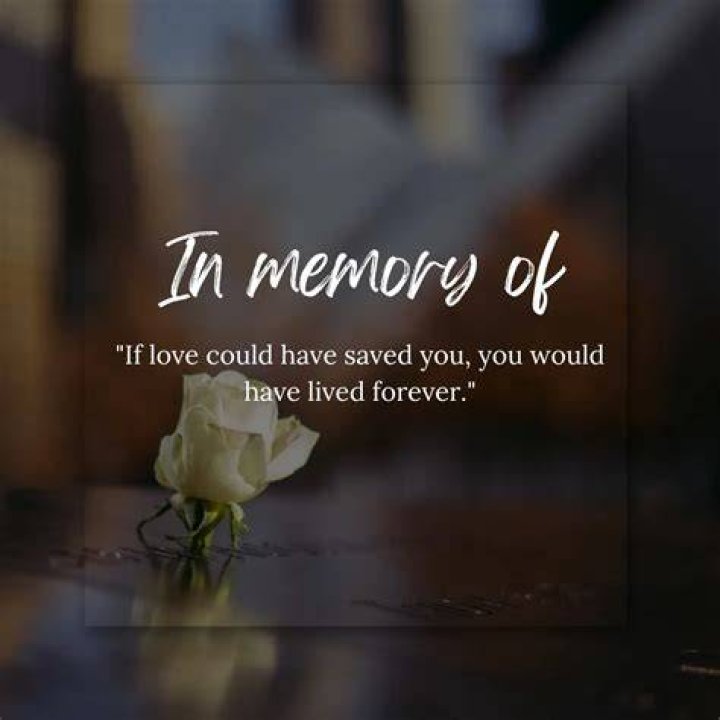 Navigating The Journey Of Missing A Departed Loved One