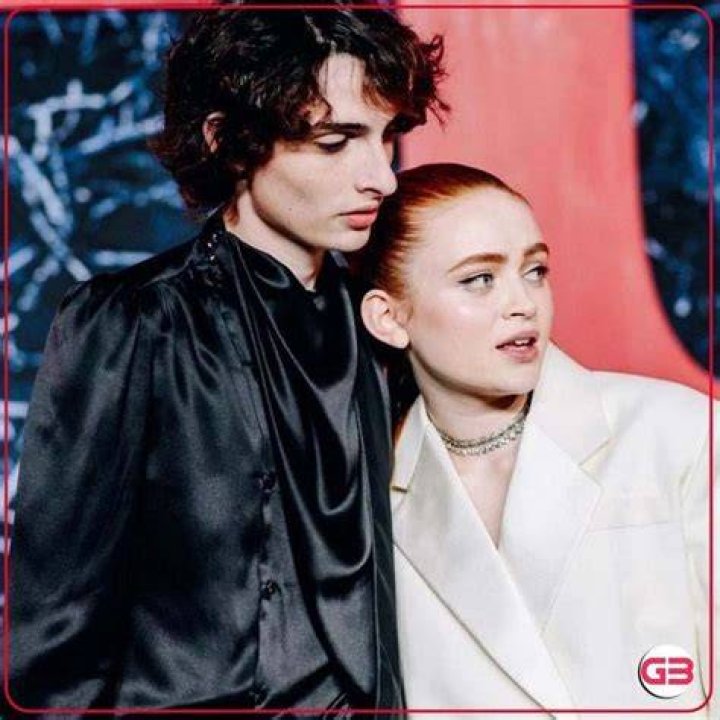 Netizens Think Sadie Sink And Finn Wolfhard Are Dating