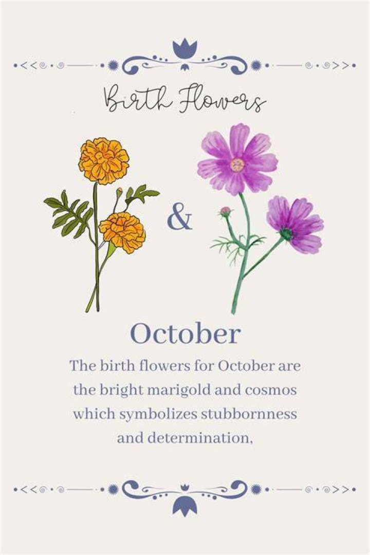October Birth Month Quotes in 2020 Birthday quotes, Words, Funny quotes