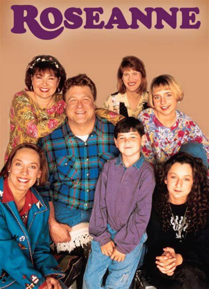 Old Roseanne TV Show Pictures POPSUGAR Entertainment Photo 41