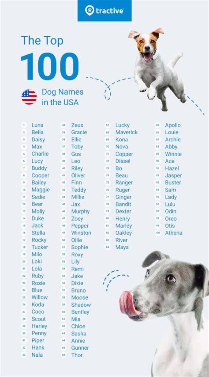 Pet Names For Ladies Mutt Meow