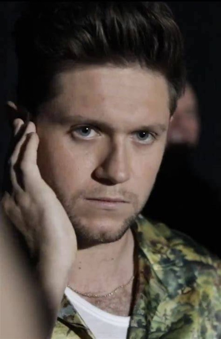 Pin by leticia rupf on niall james James horan, Niall horan, Dads