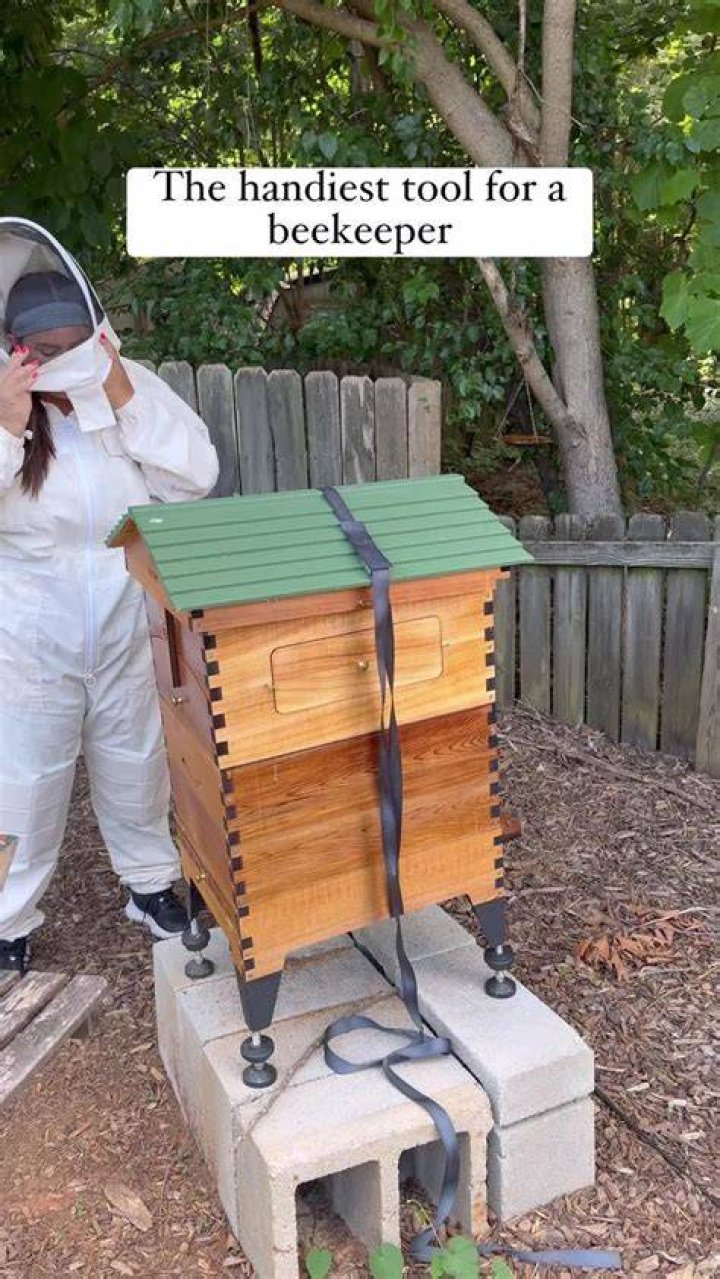 Pin on Beekeeping Пчелы
