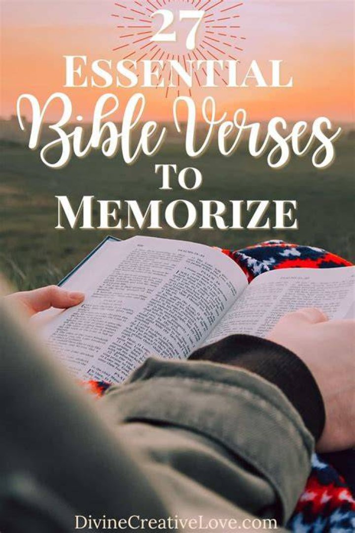 Pin on Bible Verses