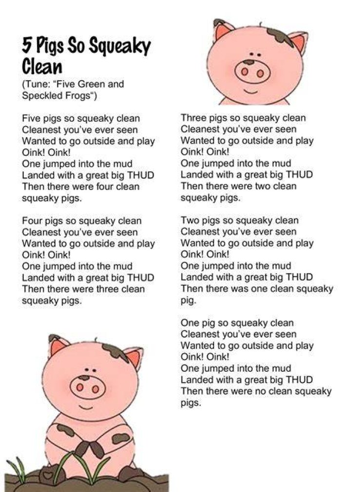 Pin on Squeaky Pigs