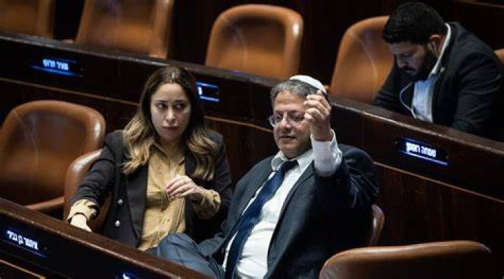 Politician who called herself 'mother of the politically incorrect