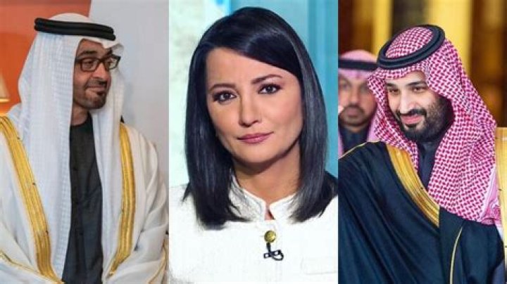 Presidential Lawsuit! Aljazeera Anchor Ghada Owais Sues Saudi and