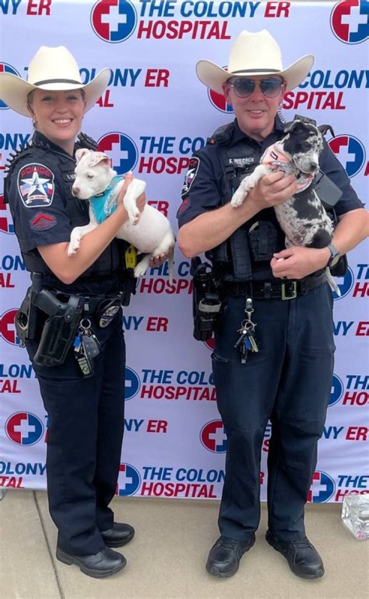 Profile The Colony Police Explorer Brooke Berger The Colony Courier