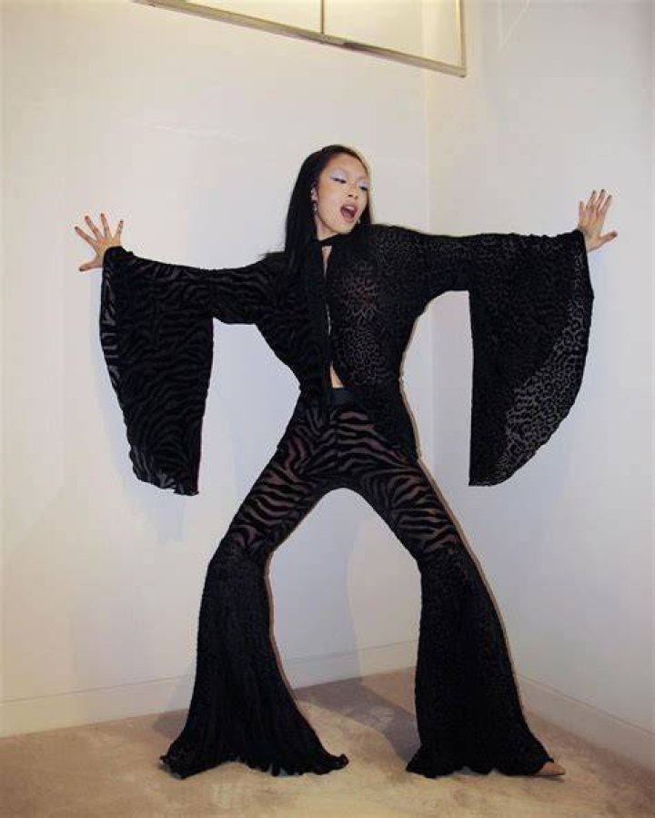 Rina Sawayama Biography Boyfriend, Gender, Age, Net Worth, Songs