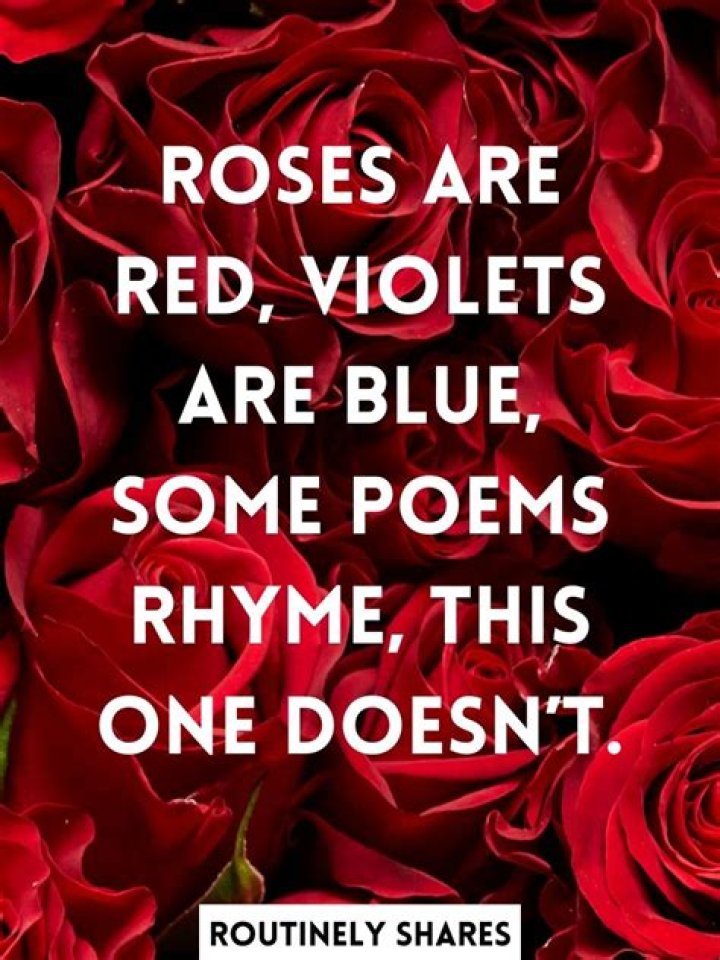 Rose Are Red Violets Are Blue Dirty Jokes discountgirlsbedroomfurniture