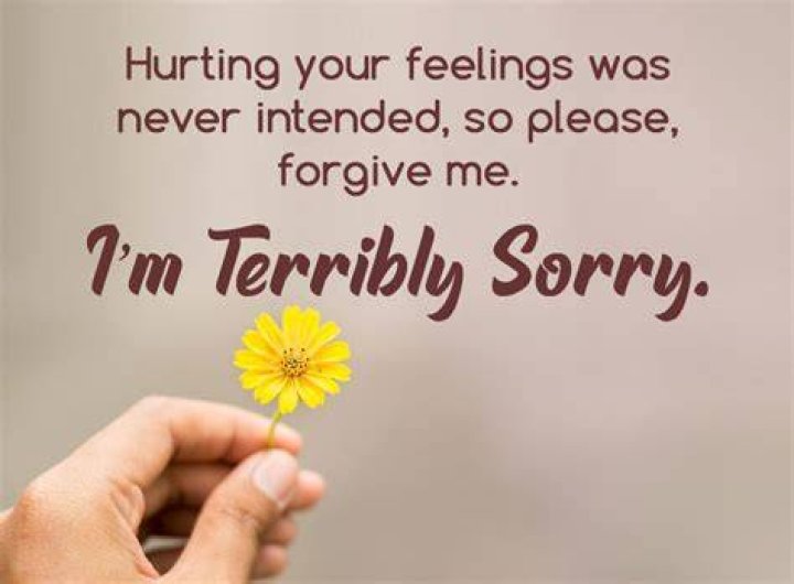 Sad & Heartfelt Sorry Messages & Quotes With Images