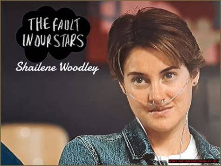 Shailene Woodley's Pregnancy Journey Explored