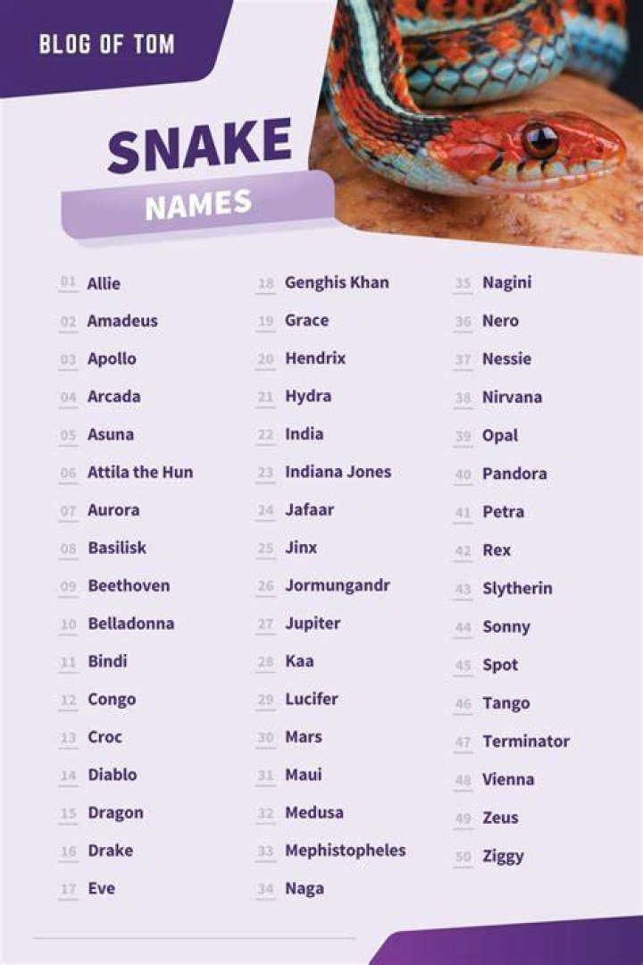 Snake Names (Cute, Cool & Funny Male & Female Ideas) Snake names