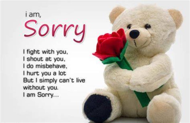 Sorry Messages for Friends Apology Quotes Love Quotes, Wishes