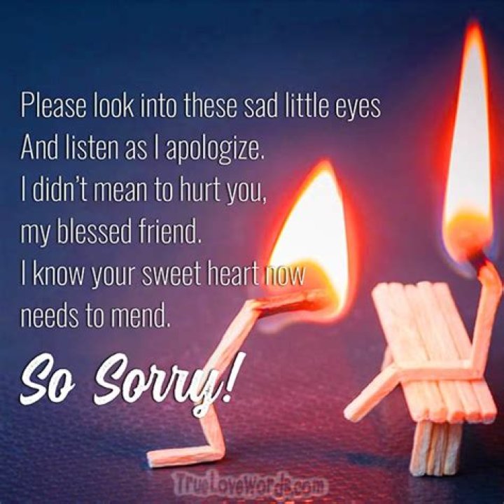 Sorry Messages For Friends Sincere Apology Quotes Sorry quotes