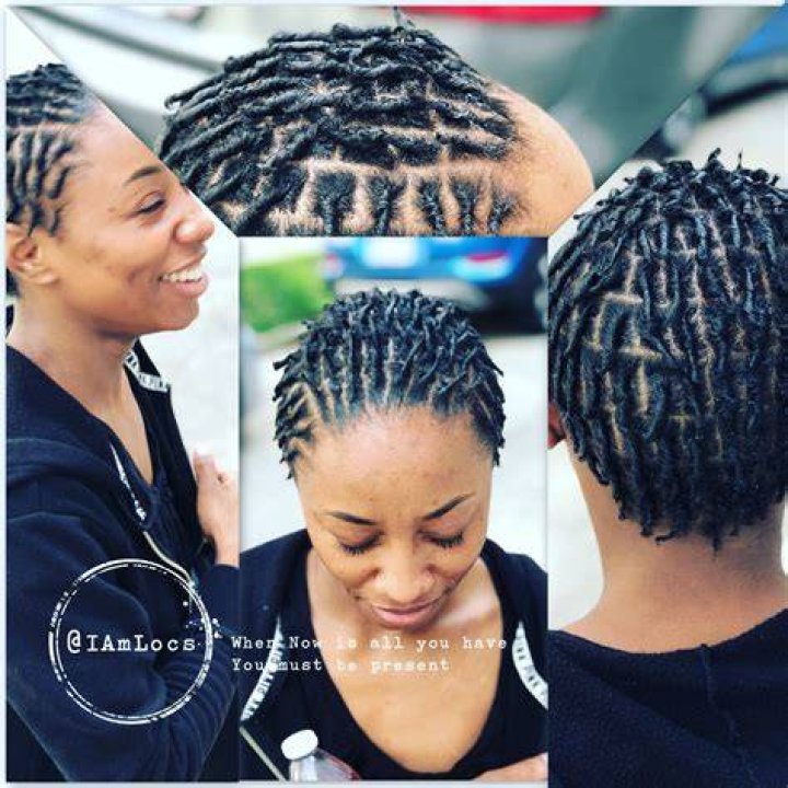 Starter locs on natural hair Natural hair styles, Hair styles
