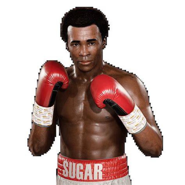 Sugar Ray Leonard Undisputed Wiki Fandom