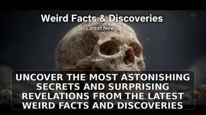 Surprising Discoveries And Intimate Revelations