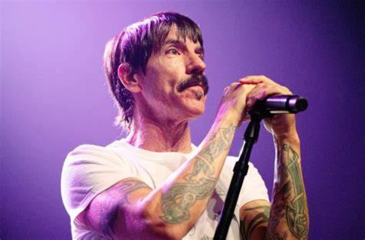 SwashVillage Biograf&iacute;a de Anthony Kiedis