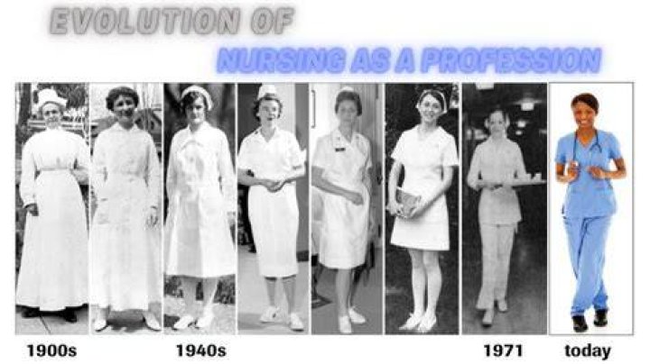 The Evolution of Nursing in the 19th Century Brewminate A Bold Blend