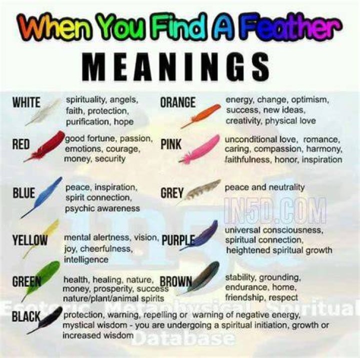 The Meaning behind the Feather Tattoo and Symbols TattoosWin