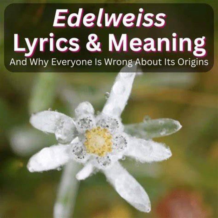 The meaning of the lyrics to “Wonderwall” by Oasis Lot of Sense