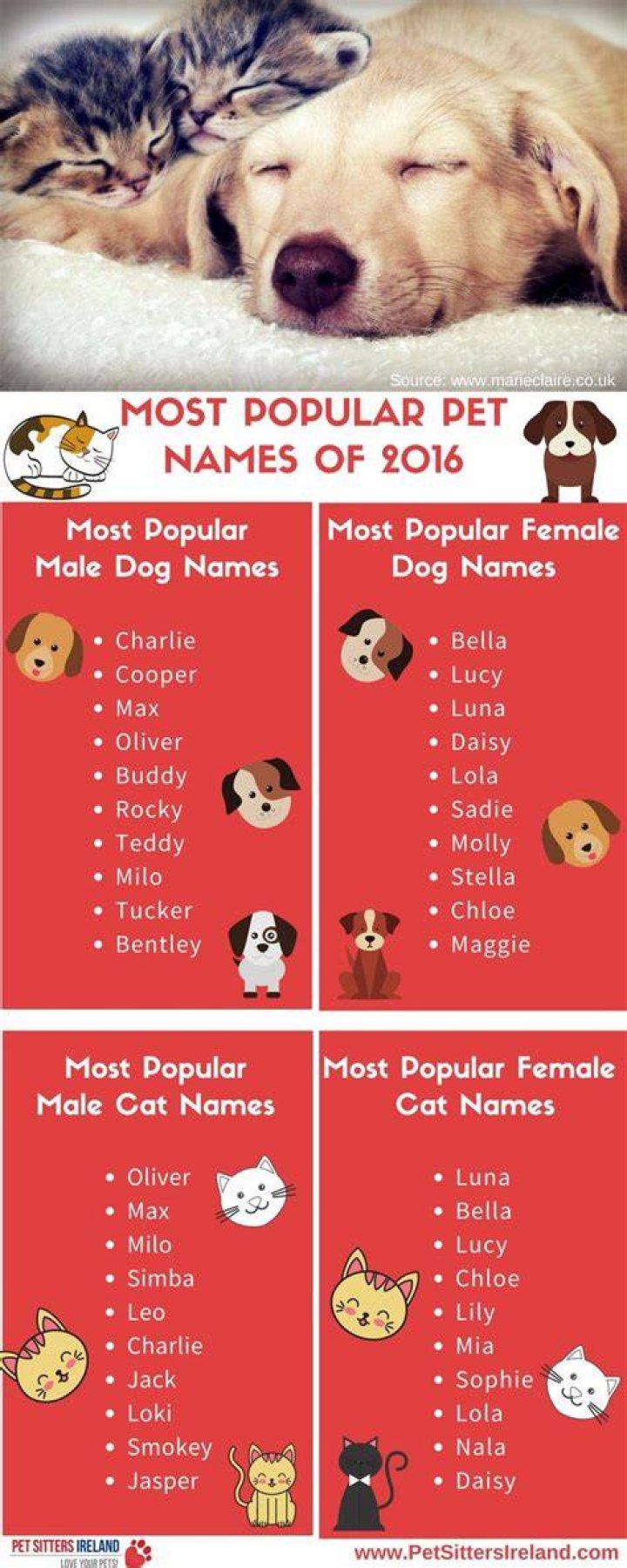 The Most Popular Pet Names of 2021