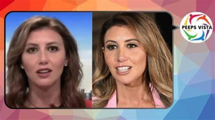 The Ultimate Guide To Alina Habba's Plastic Surgery Journey