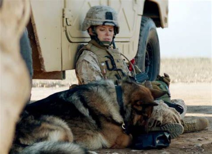 The Unbreakable Bond Between A Marine And Her K9