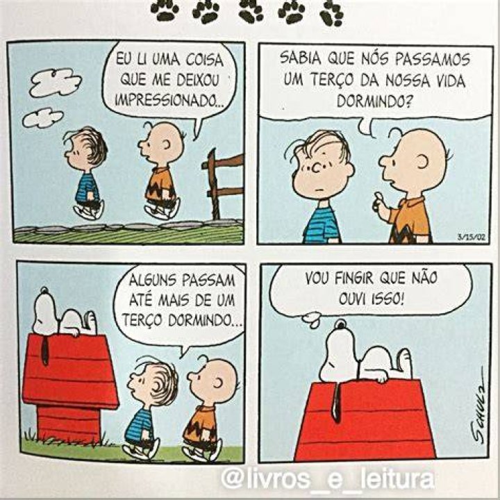 Tirinha do Dia Snoopy e a Vida Estranha Snoopy the dog, Charlie