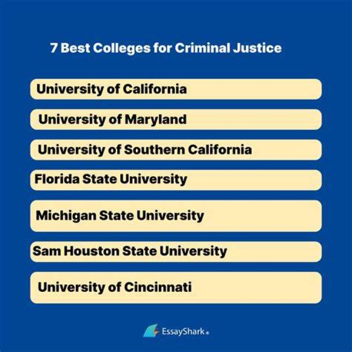Top 7 Best US Criminal Defense Lawyer In The World